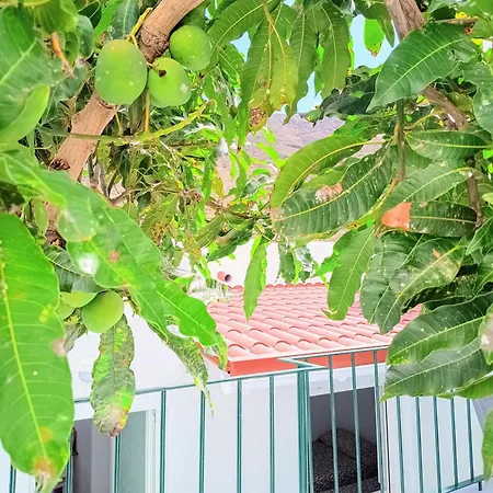 Paraiso De Anaga Apartman *